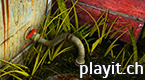 Dreamcage Escape