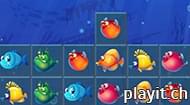 Fishing Blocks