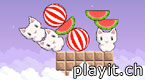 Cat Cat Watermelon