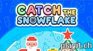 Catch The Snowflake