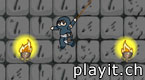 Ninja plus