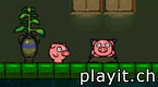 Pig Dream