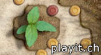 Rock Garden Deluxe